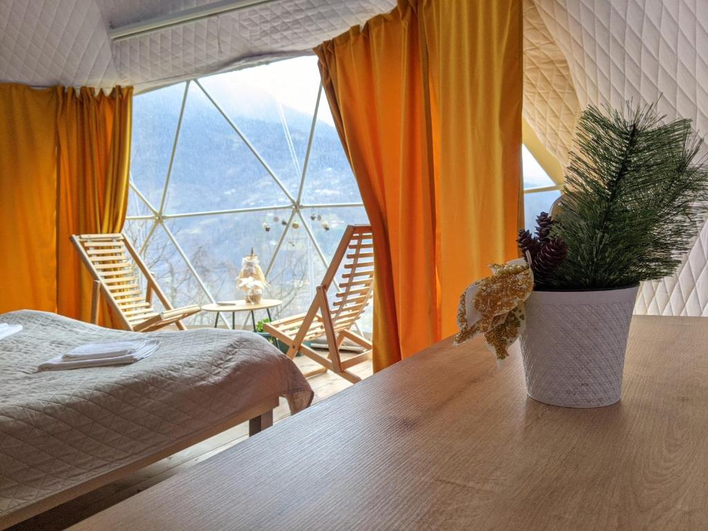 Ajara Glamping Kokotauri photo