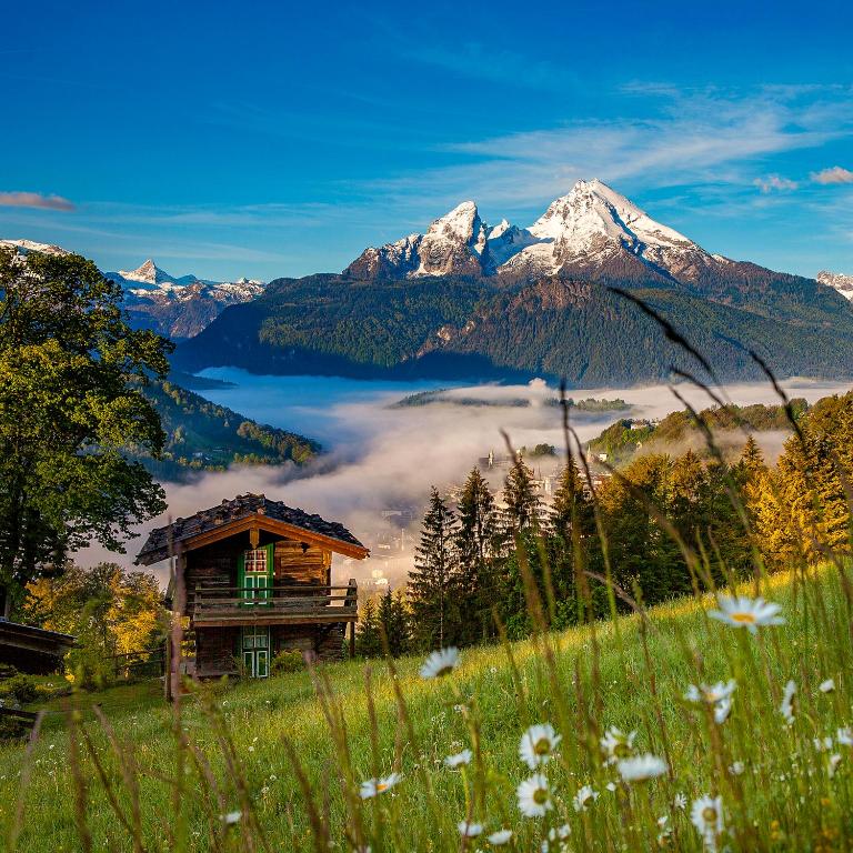 Alpenresidenz Buchenhöhe - 5