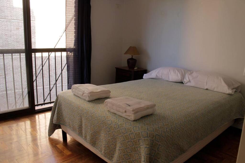 Departamento, amplio, céntrico y confortable. Plaza Independencia - 2