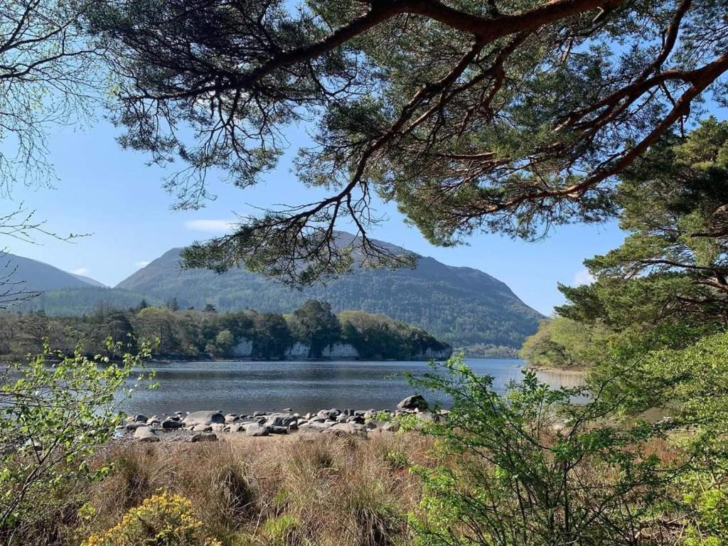 Green Acres Guesthouse- Accommodation Only