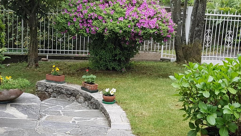 Bed & Breakfast Gli Oleandri - 3