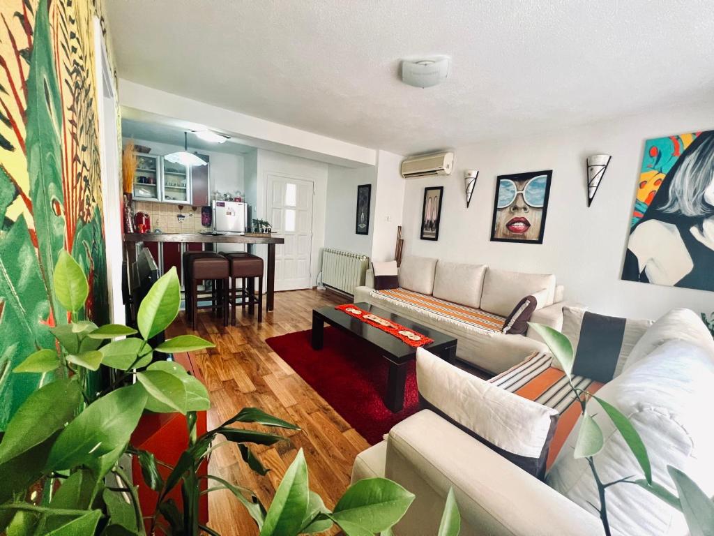 Apartment Centar - 4