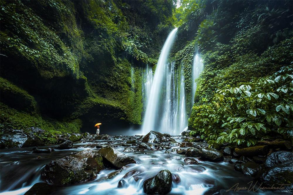 Budaya Kaki Rinjani photo