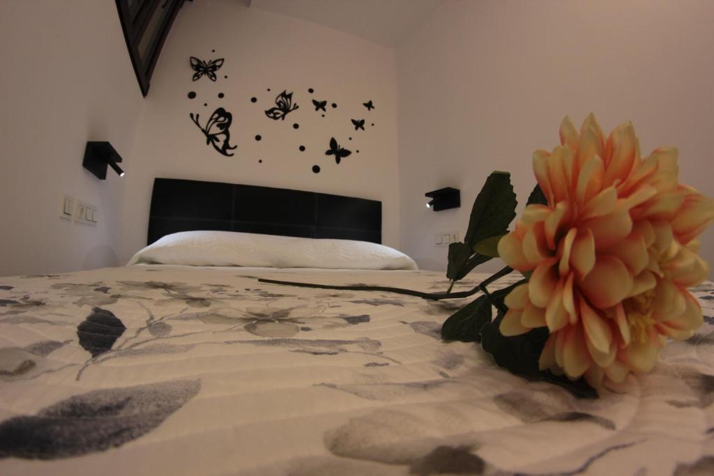FP HOTELs photo