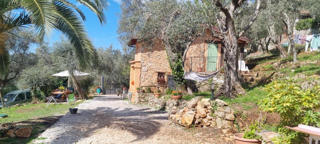 La Merla del Tasso - 4