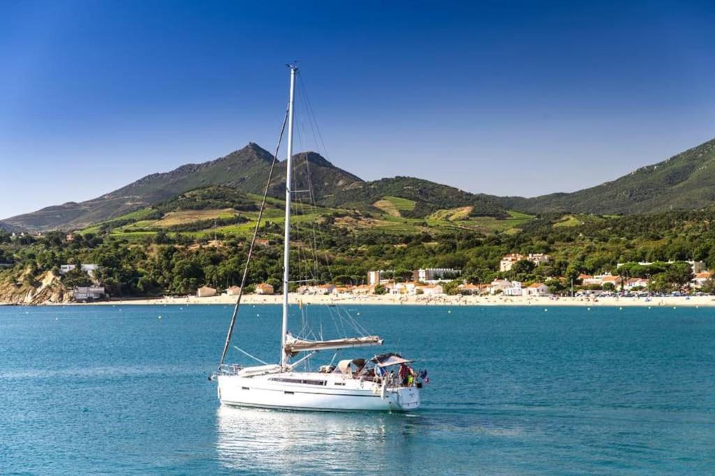 "Les Bambous" studio cosy climatisé au calme de 37 m2 parking gratuit à Argelès sur mer - 4