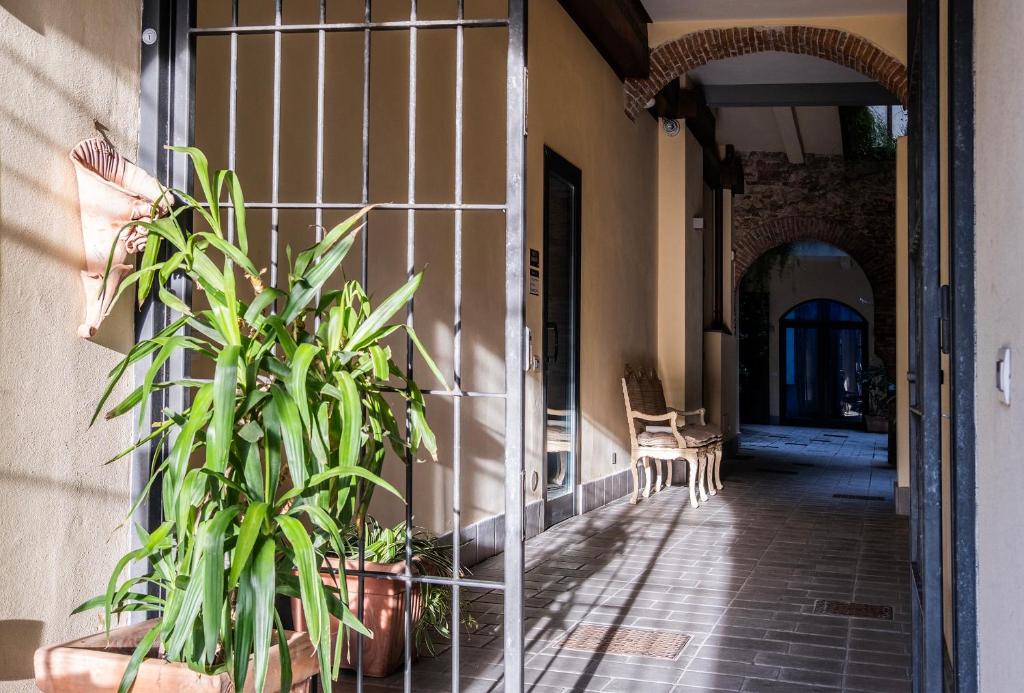 Agave in Citta photo
