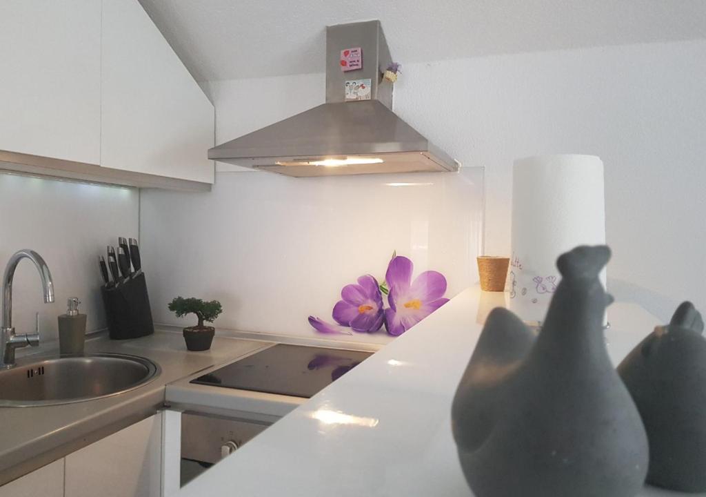 Apartman Hamad, Bihać - 4