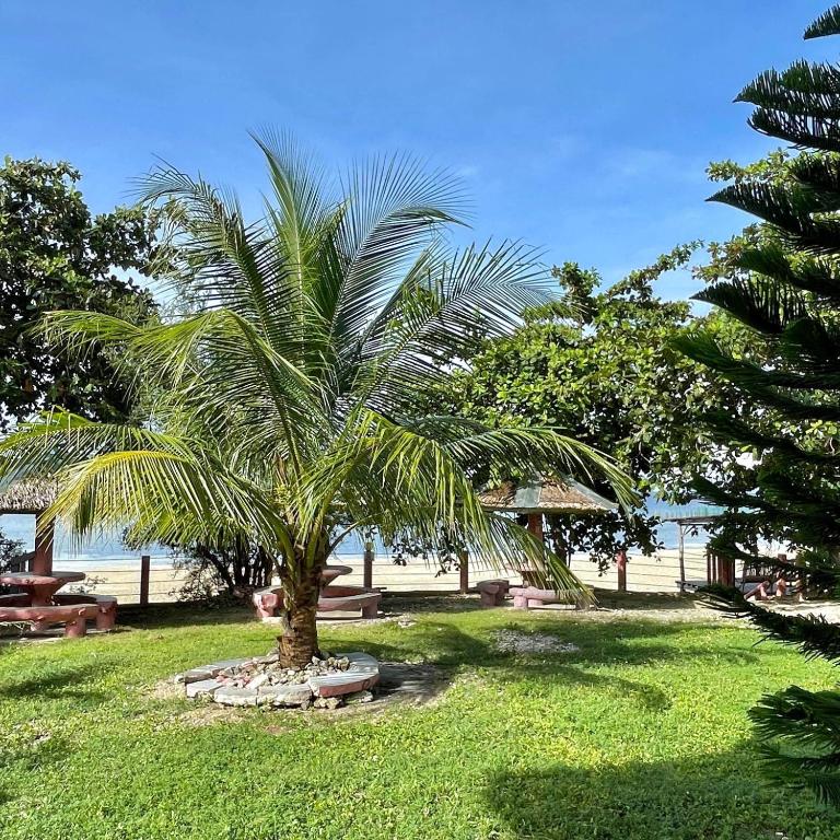 D's Oceanview Beach Resort — Hotel in Siquijor Island