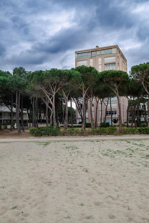 Studio les pieds dans l'eau Argeles Sur Mer - 5