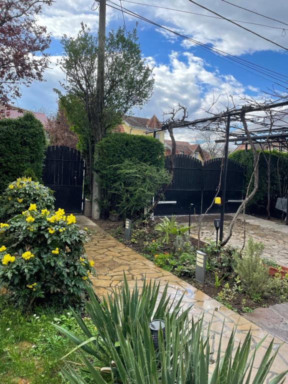 5min Airport, Surčin