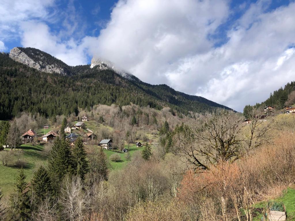 Le Bois des Lièvres - 4