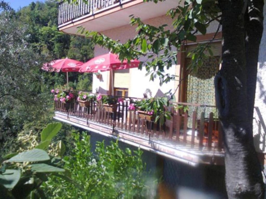 La Margherita di Teriasca