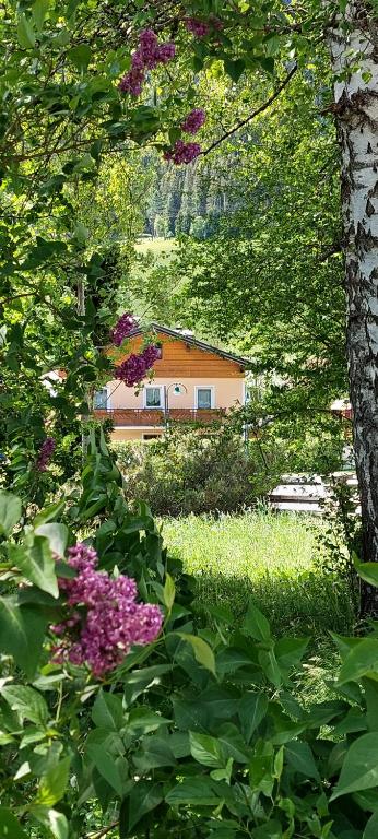 Appartements Haus Bergland - 3