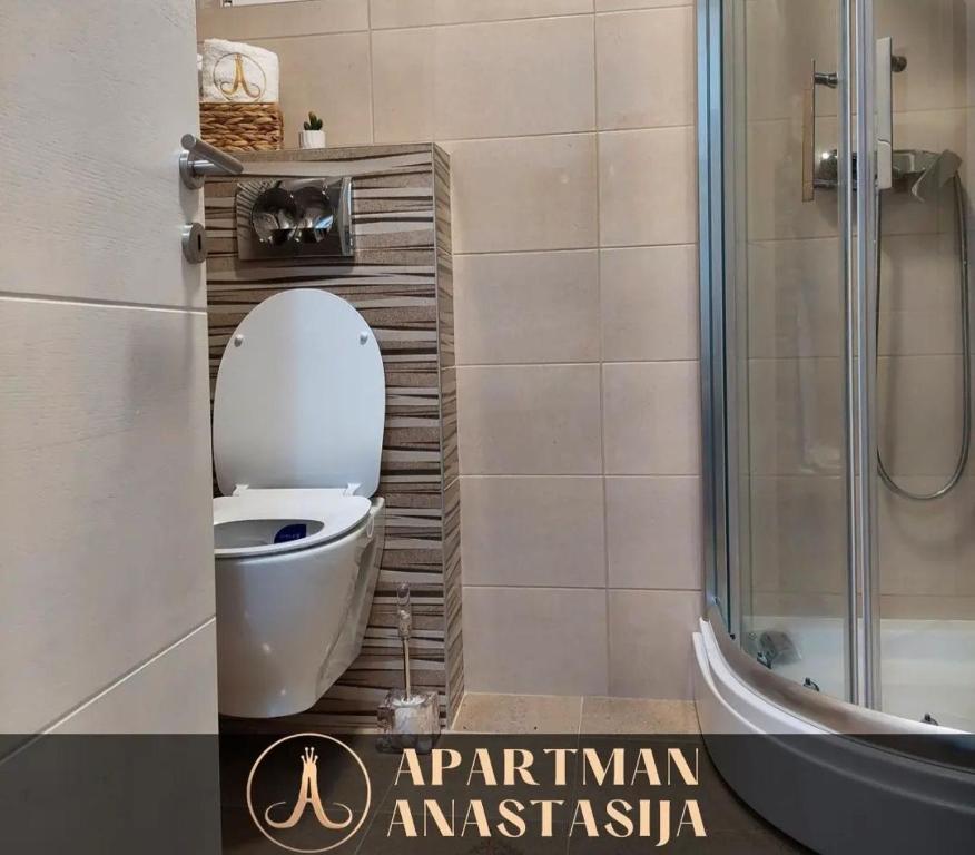 Apartman Anastasija Vrnjačka Banja - 3
