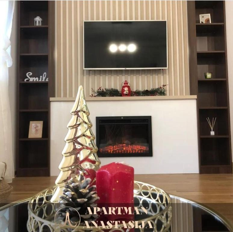 Apartman Anastasija Vrnjačka Banja - 5