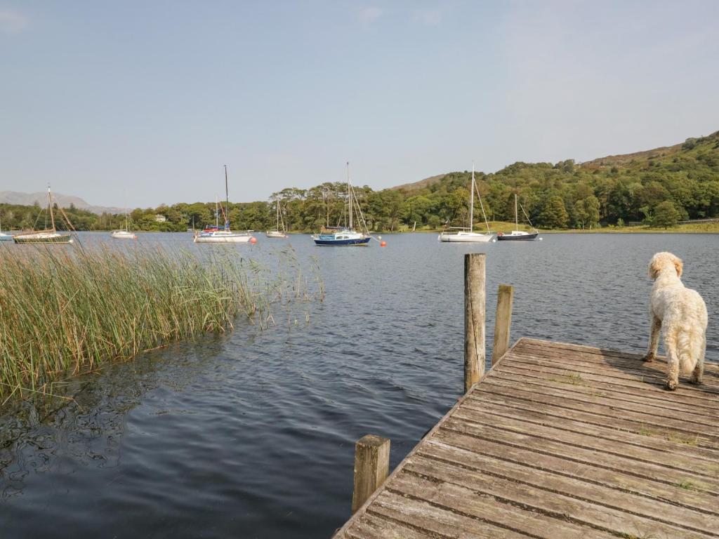 8 Woodlands, Water Yeat photo 8
