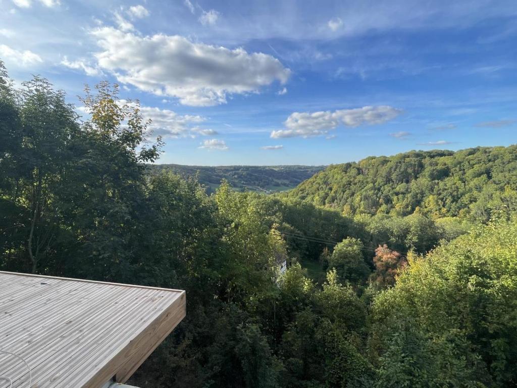 Modernes freistehendes Ferienhaus mit Hottube, Sauna, Designkamin und atemberaubender Terrasse über Baumwipfeln