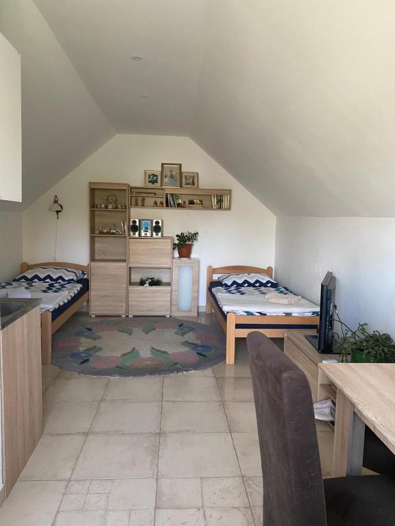 Ilkićev kućerak Studio, Vrdnik