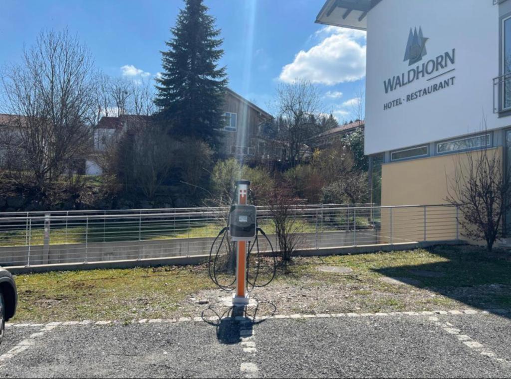 Hotel Waldhorn - 4