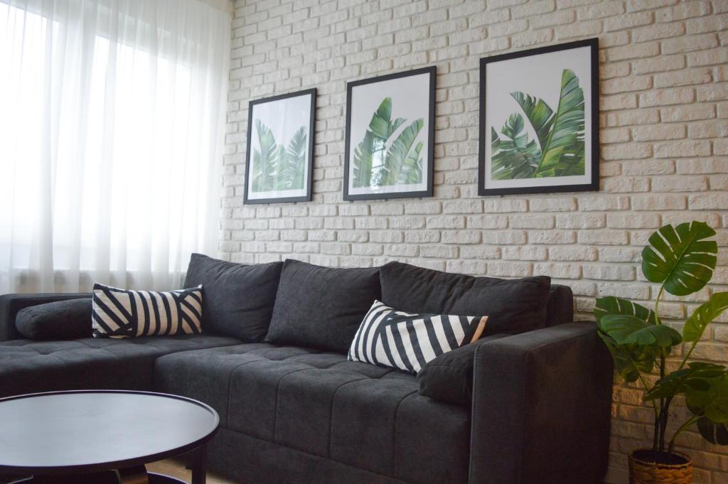 The Black & White Oasis - 5