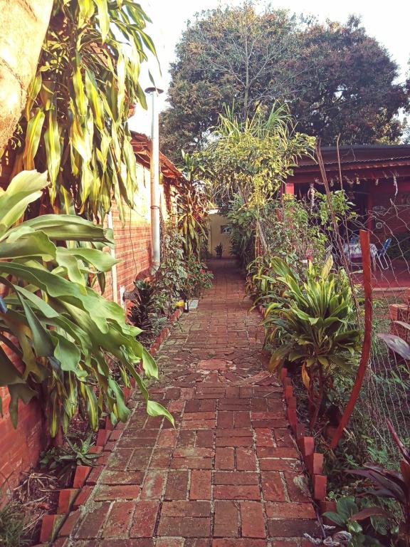 Hostel Sin Fronteras - 4