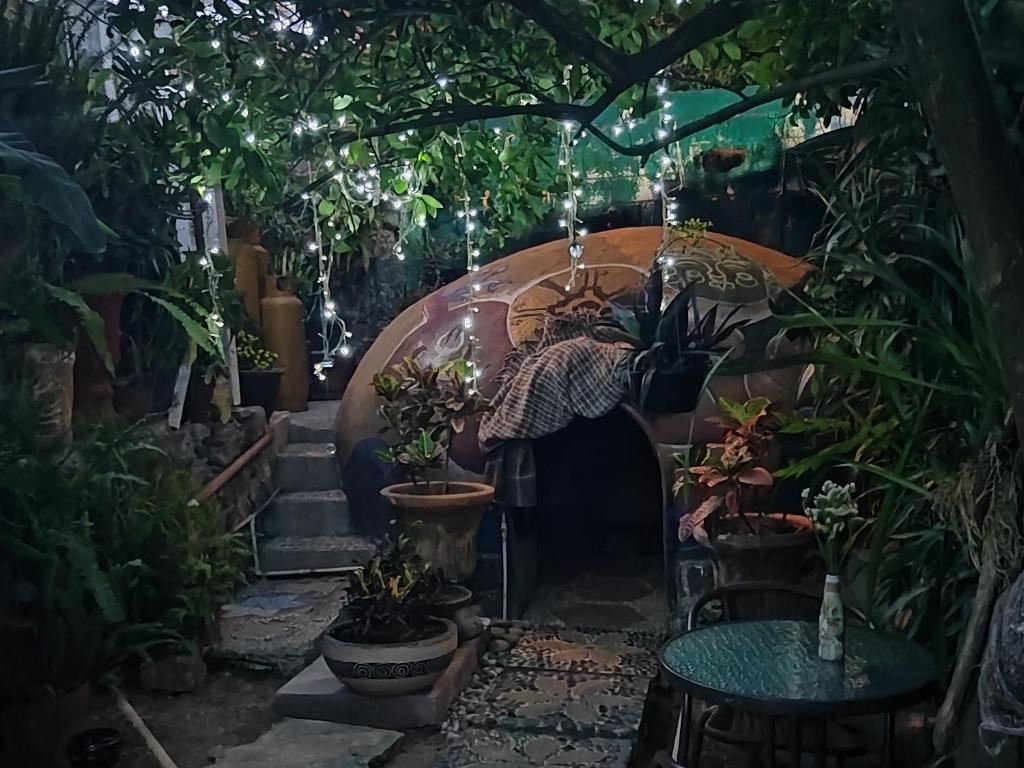 Temazcal Hospedaje "gema" adults only photo