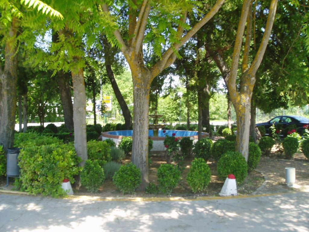 Hotel Manzanares Photo 23
