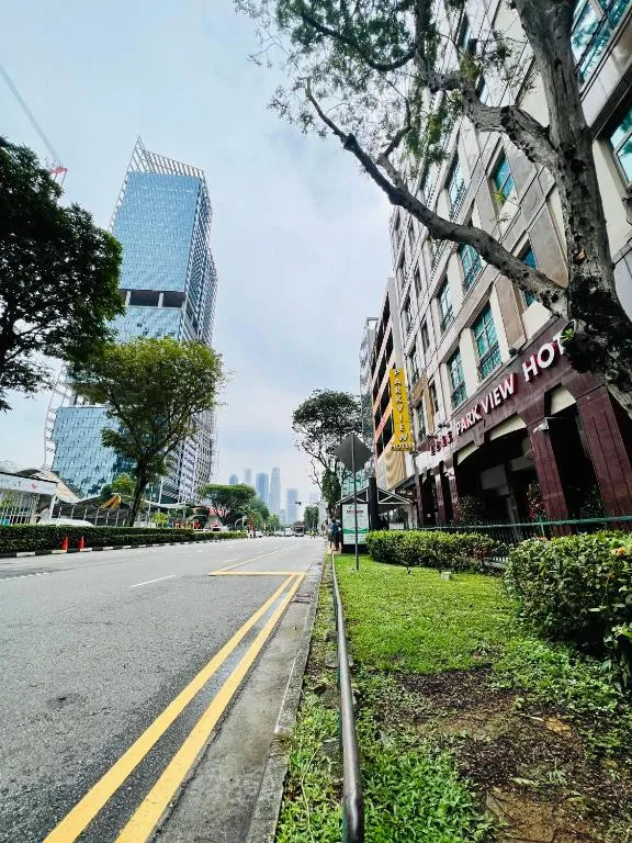 Park View Hotel，位于新加坡的酒店