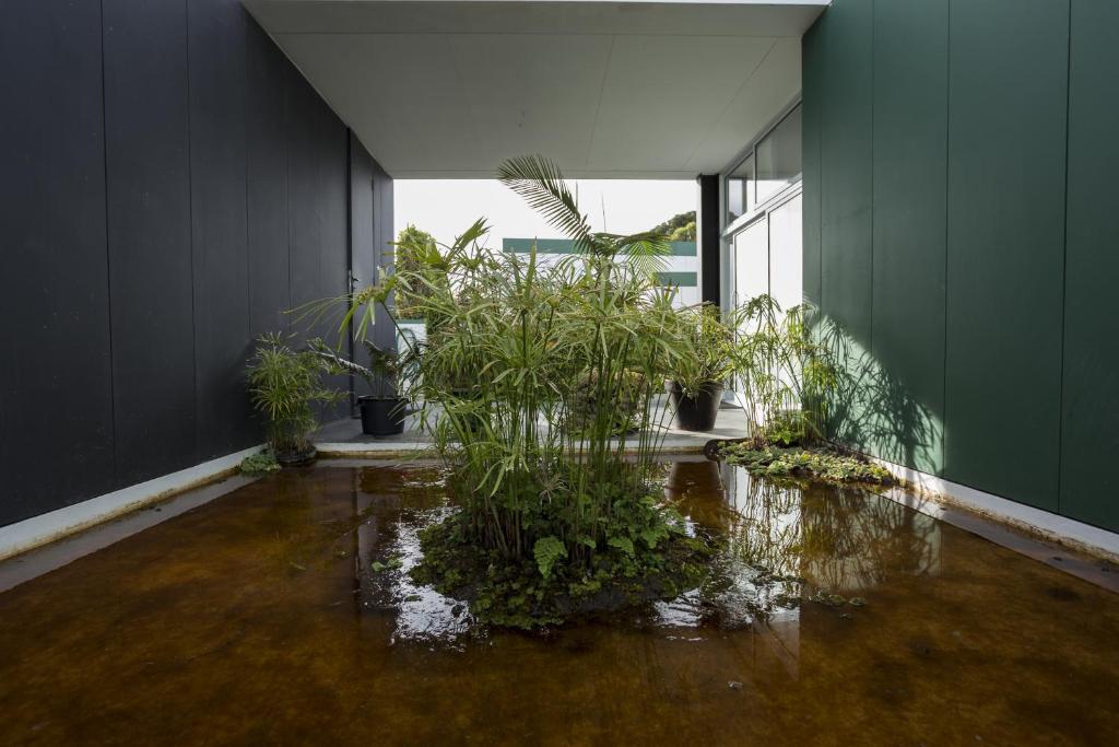 ทางเข้า