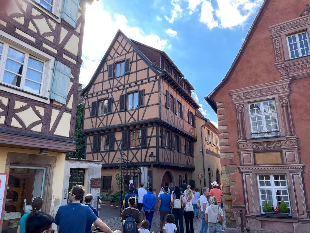 Rive Petite Venise Appartement Luxe - Centre Ville Colmar - Clim, Ascenseur & possibilité Parking - 4