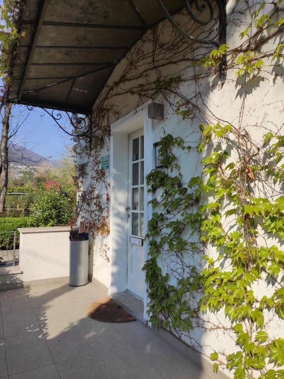 Casa Bianca Apartments photo