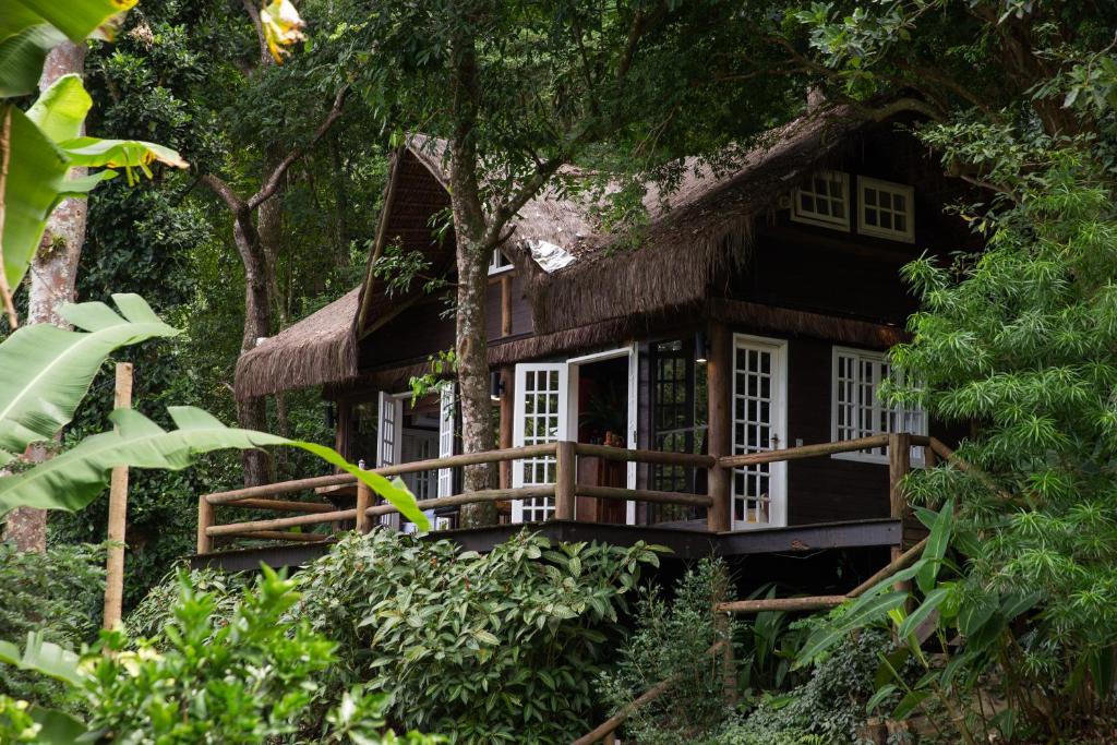 Rain Forest Paradise