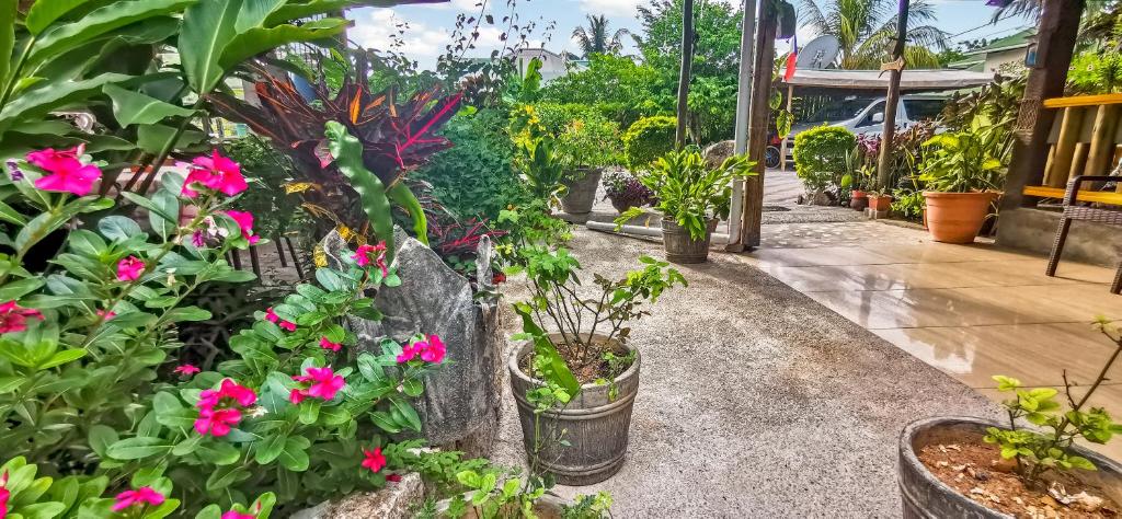 Bwaver Cottage photo