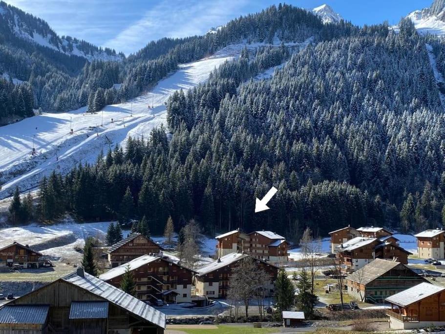 Cocon à chatel - 1