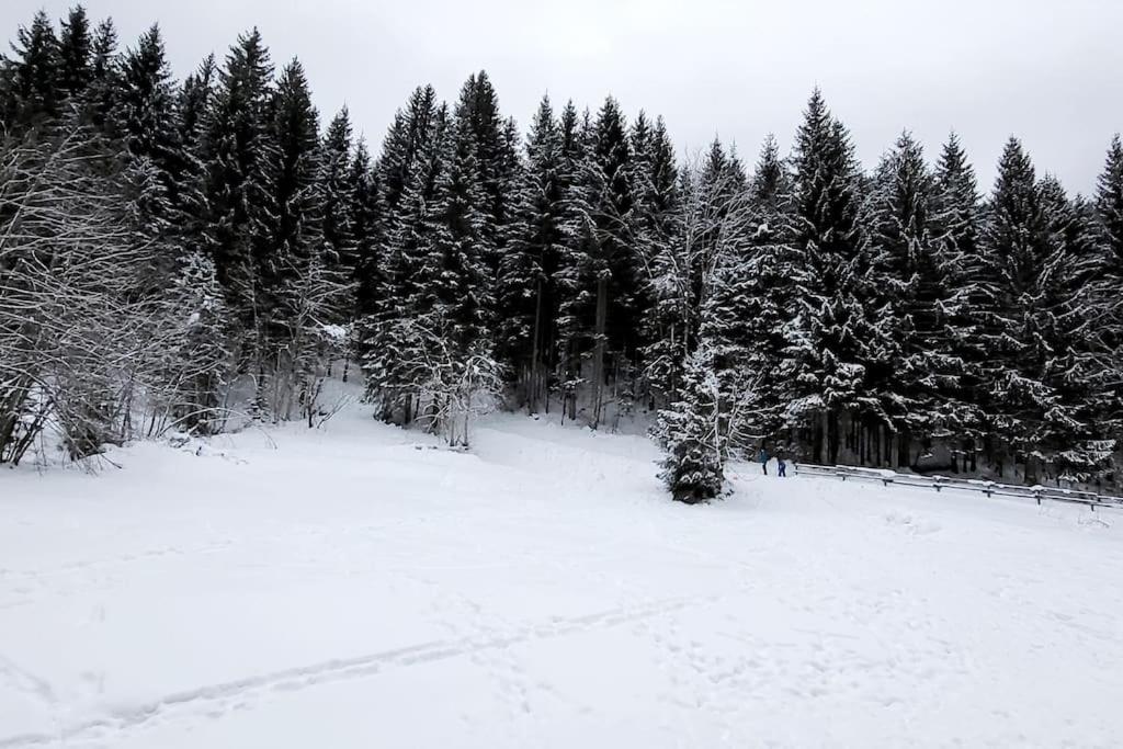 Cocon à chatel - 3