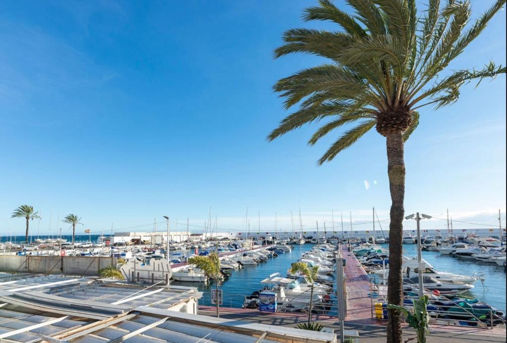 Appartement en front de mer - 5