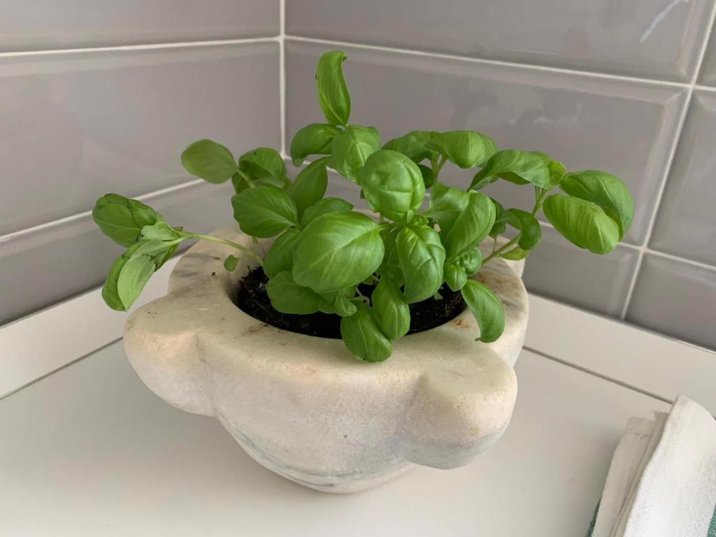 MariMARE, Sestri Levante