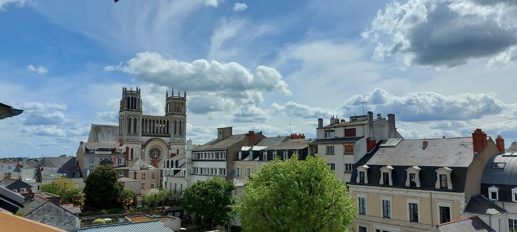 Les Suites Angevines - 4
