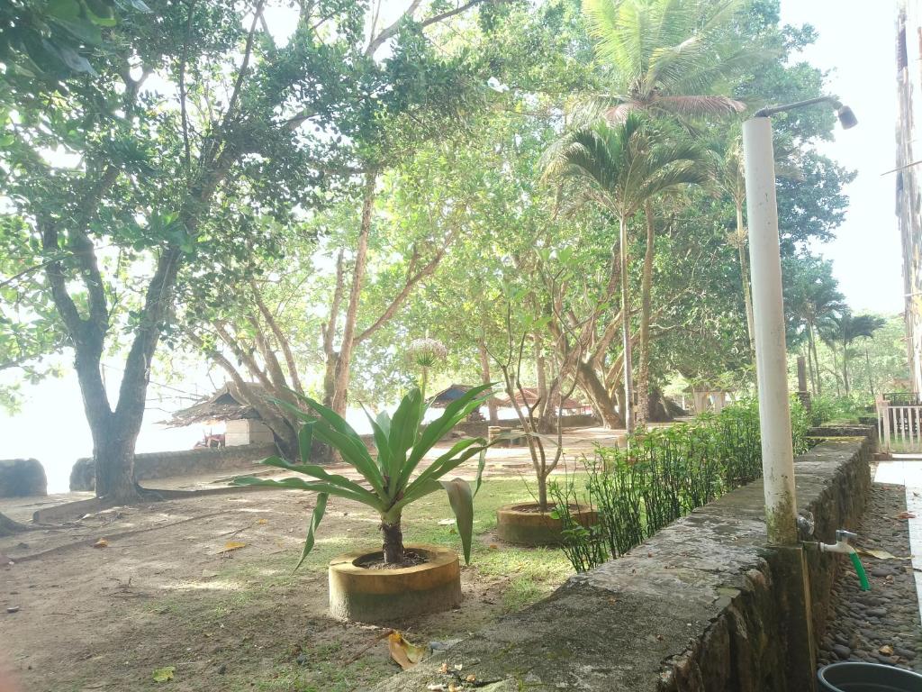 Lippo carita one-bedroom's view photo