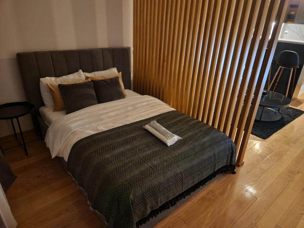 LL65 Apartments Vracar - 5