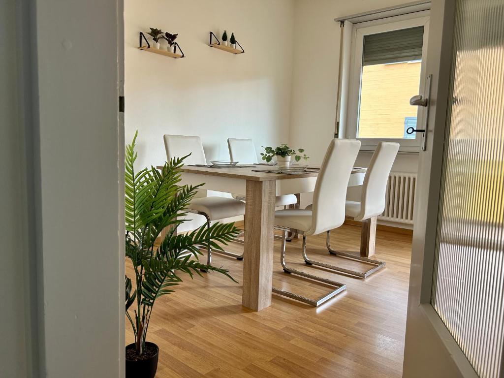 Central & Renovated Apartment - Near Train Station & City Center - 4