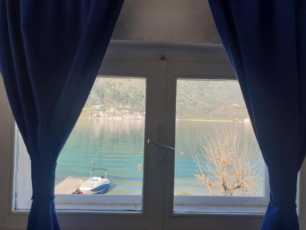 Savic Apartments photo
