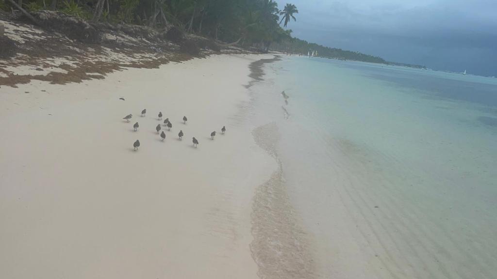 Yonah comfort punta cana, shared apartment photo