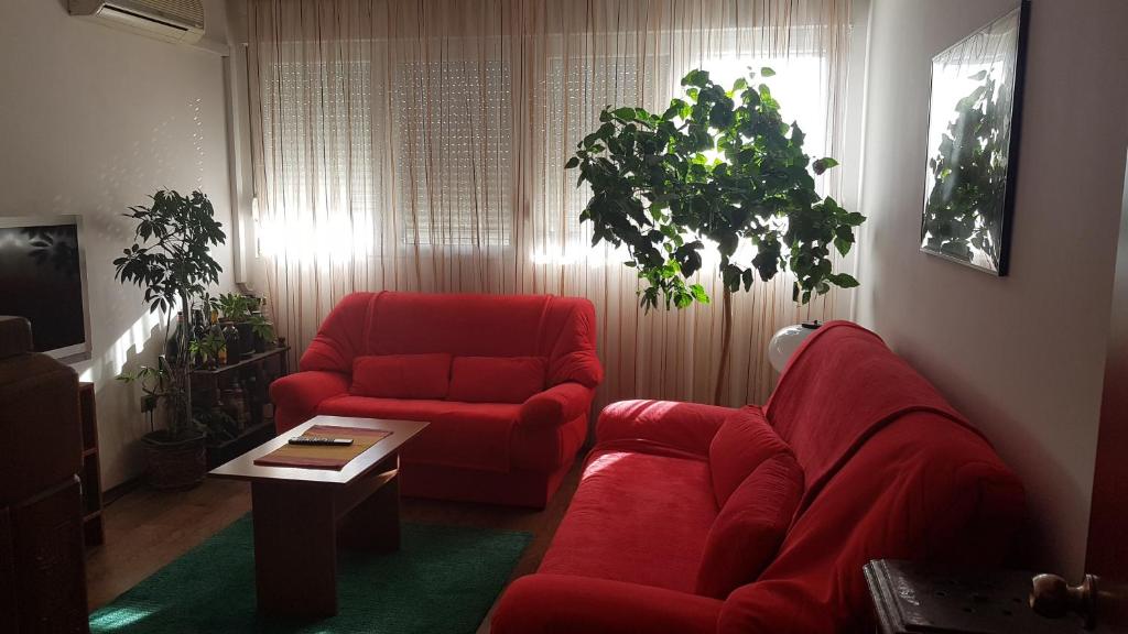 NeraBella Apartment - 3