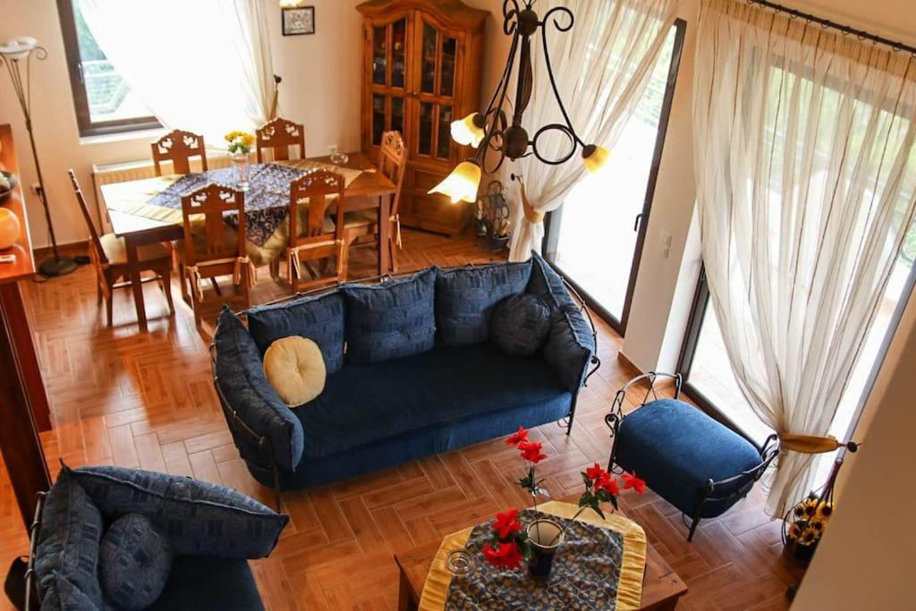 Nice house in Euboea, Politiká