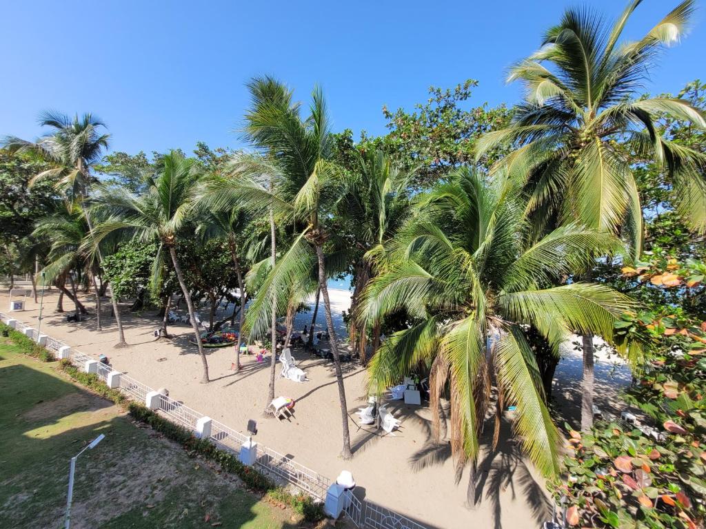 Apartamento duplex frente al mar con playa privada - 2