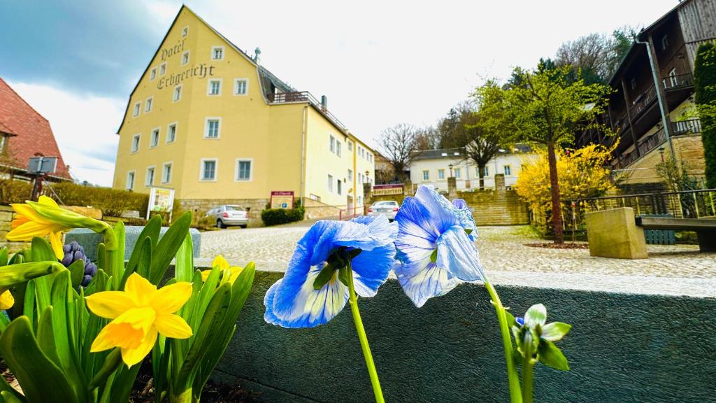Hotel Erbgericht — Hotel in Bad Schandau