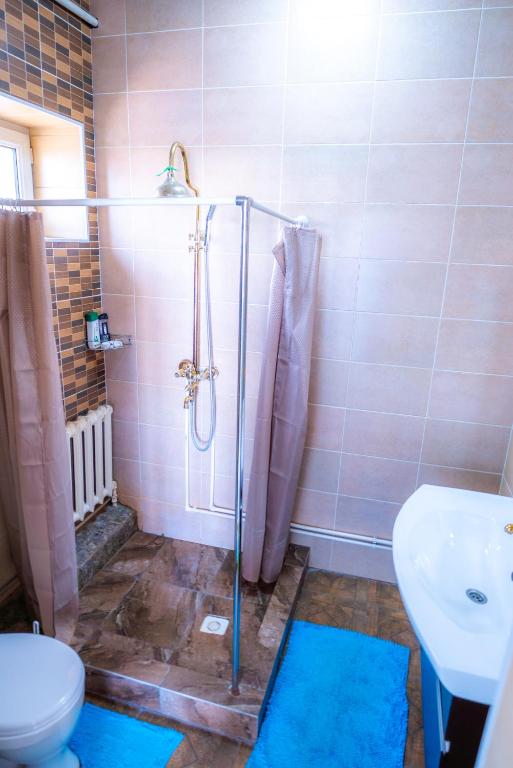 Guest House EtnoDom photo
