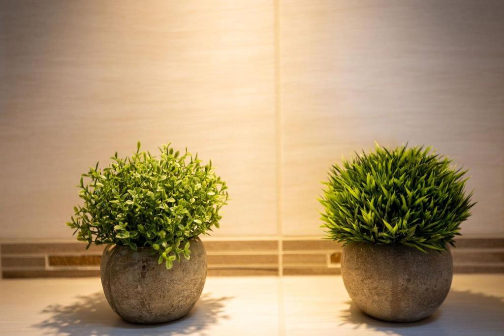 Domizil Meerzeit App 5, Ahlbeck